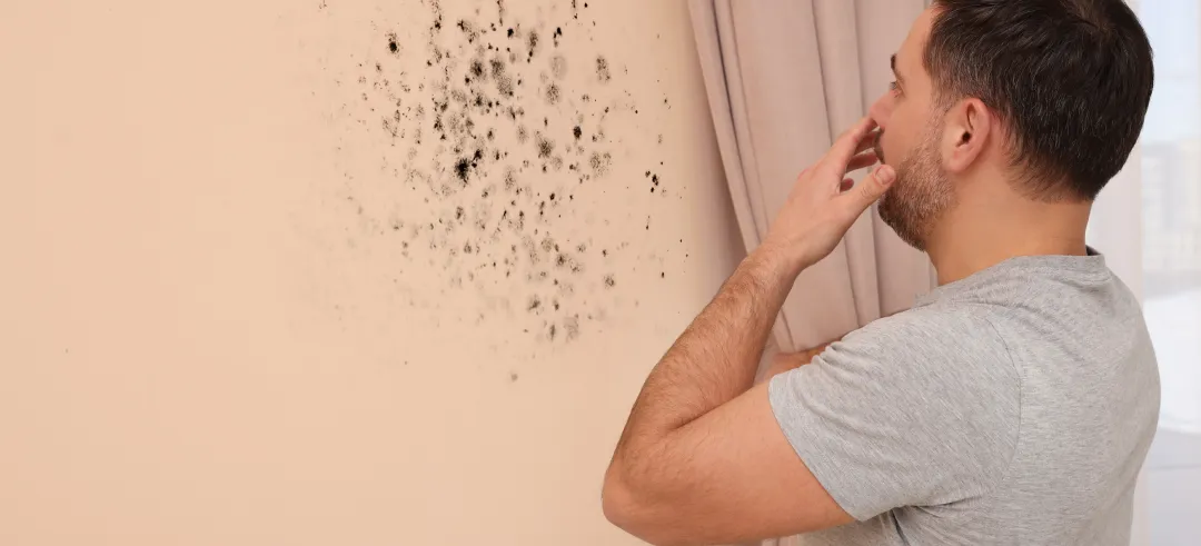 Persona sorprendido de ver una humedad en una pared de su casa